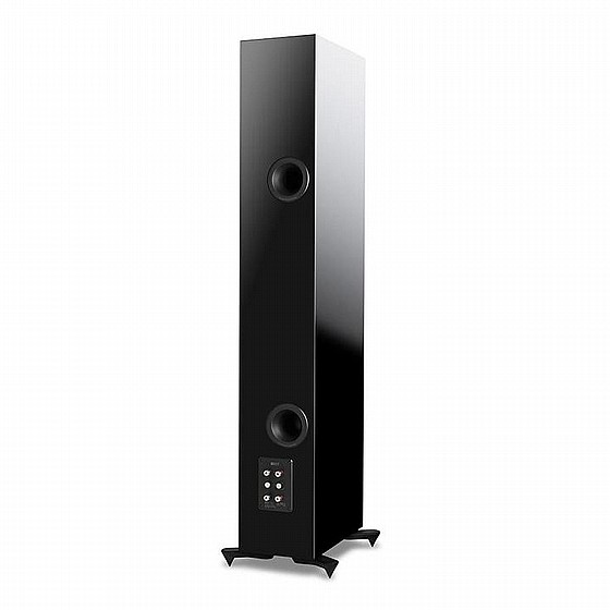 ������� ������� KEF R11