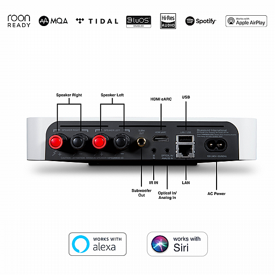 ������ ����� Bluesound Powernode Edge