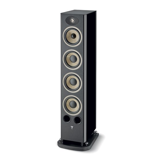 Focal Aria Evo X N�3 ����� �����