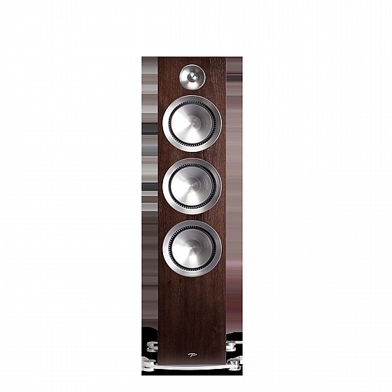 ����� �����  Prestige 95F 