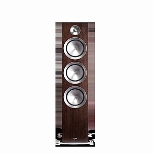 ����� �����  Prestige 95F 