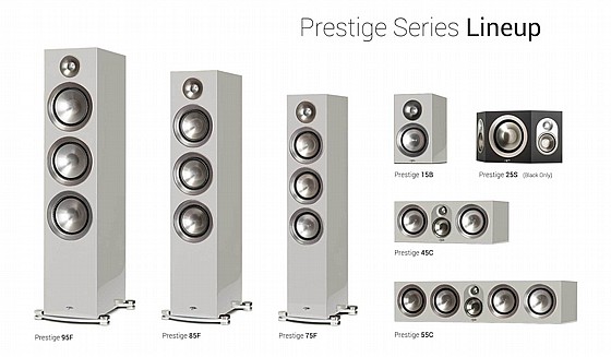 ����� ���� Paradigm  Prestige 45C