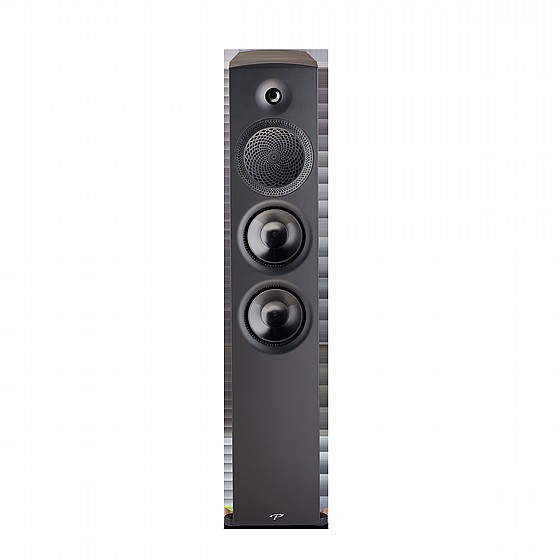������� �������  PARADIGM PREMIER 800F